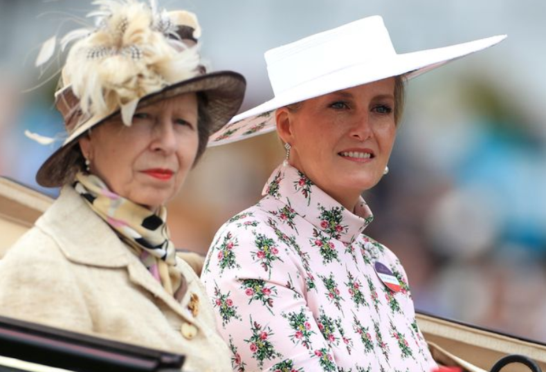 A person wearing a hat

Description automatically generated